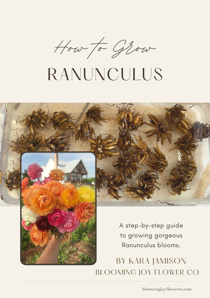 How to Grow Ranunculus guide cover
