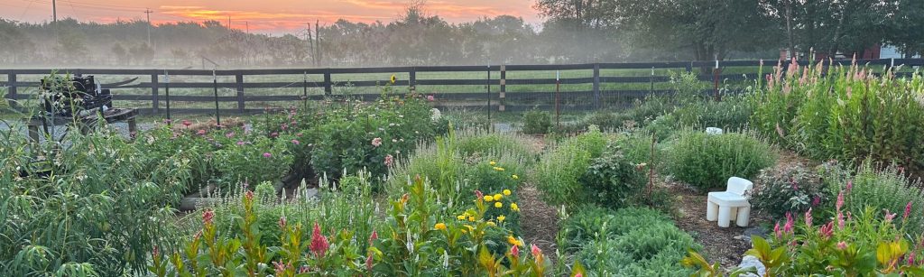 Easy Flowers to Plant in May for Stunning Summer Cut Flower Bouquets