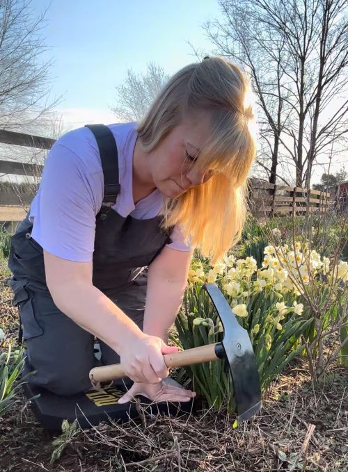10 Essential Tools I Never Garden Without