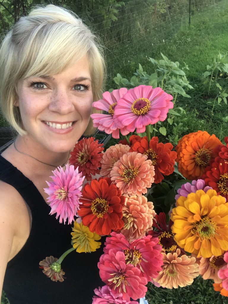 Zinnias2