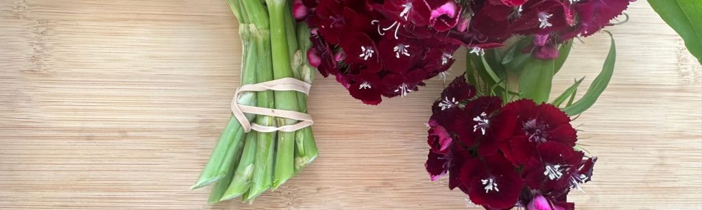 90 Degree Cut Flower Stem