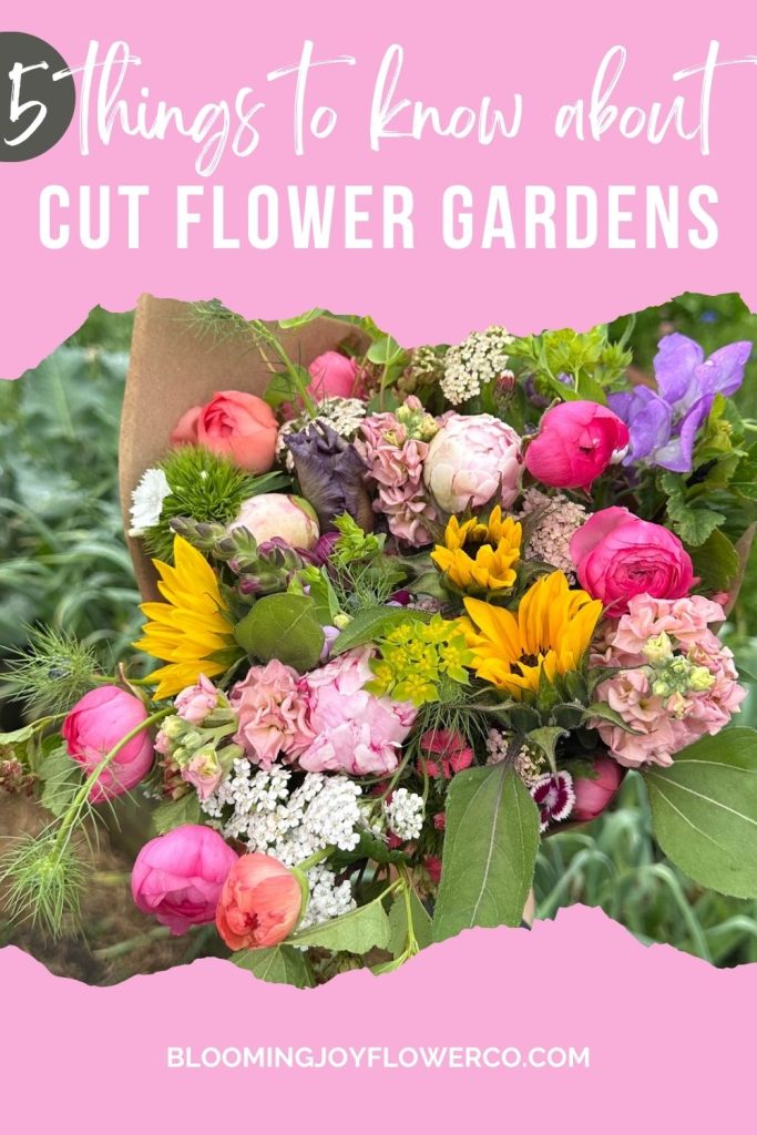 5 Things To Know About Cut Flower Gardens