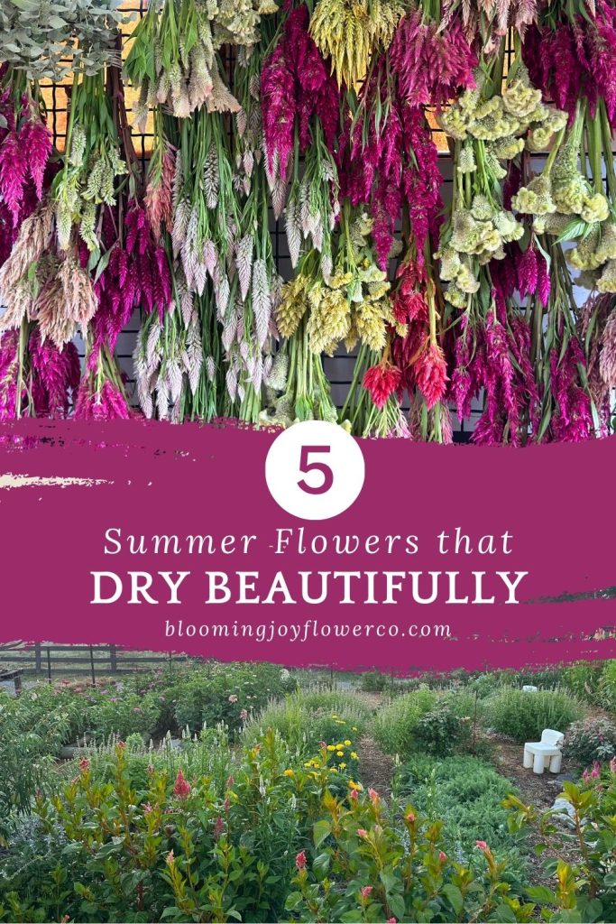 Summer Flowers To Grow For Drying