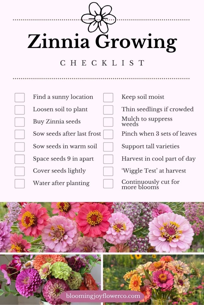 Zinnia Growing Checklist