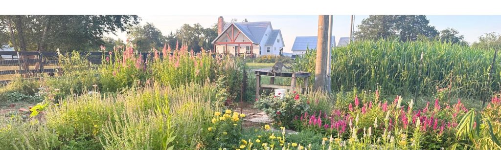 Bloom with Confidence: Top 5 Mistakes New Cut Flower Gardeners Make (And How to Avoid Them)