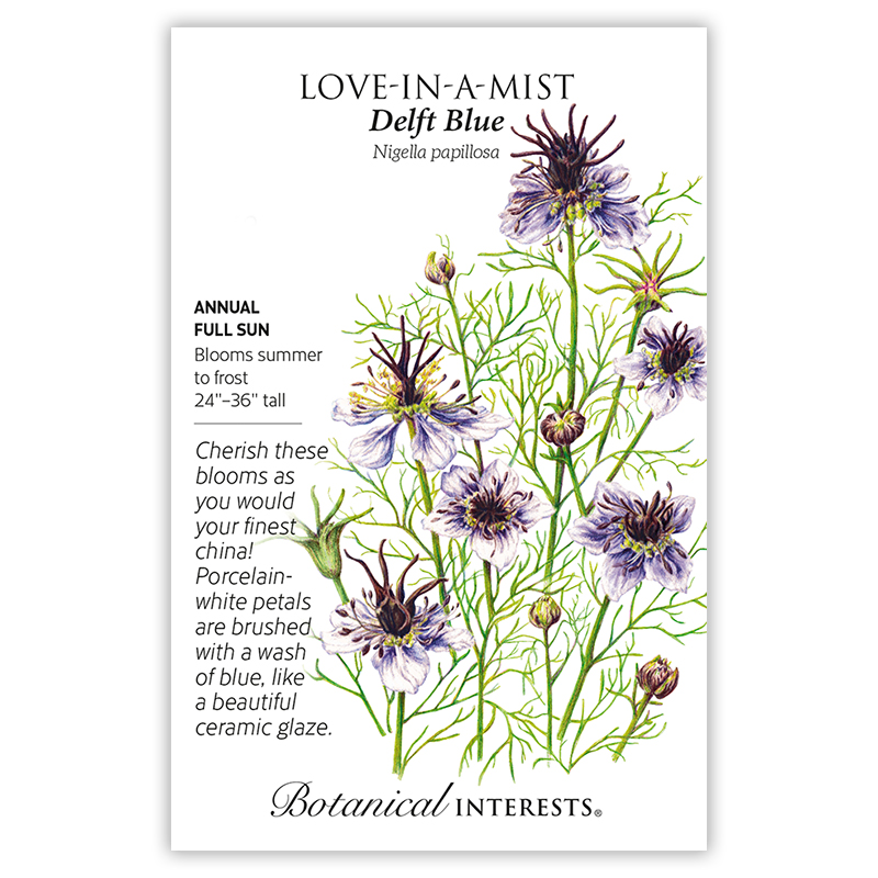 Love-in-a-Mist: The 3 Whimsical Nigella Varieties to Grow for Your Cut Flower Garden