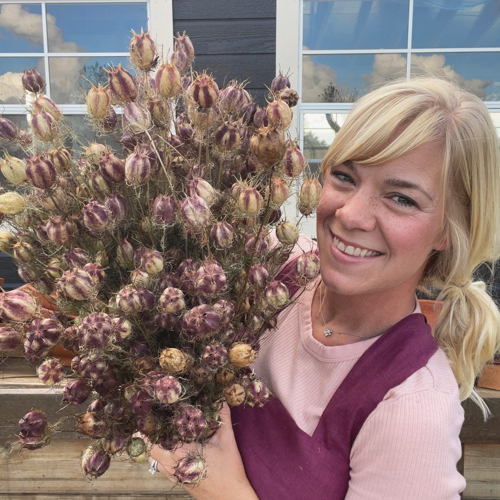 Nigella Pods