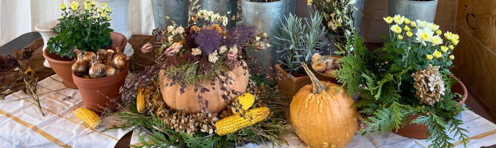 Easy No-Carve Pumpkin: Dried Flower Decoration