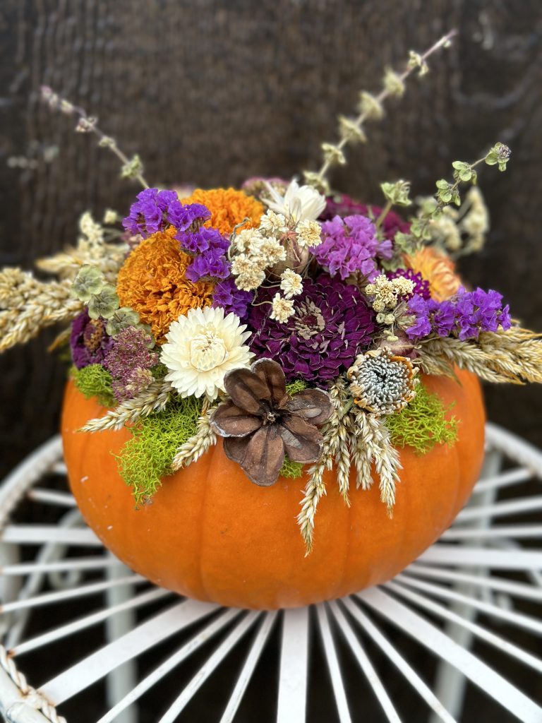 Multi Color Dried Flower Pumpkin
